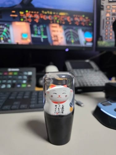 Customer photo review of Lucky Cat Gear Shift Knob