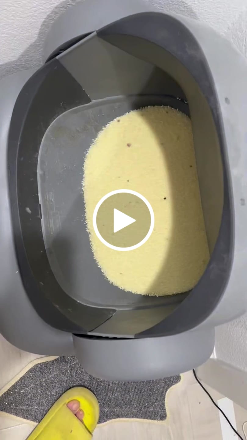 Customer video review of Silicone Pad for Neakasa M1