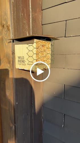 Customer video review of BeeHome One Observer