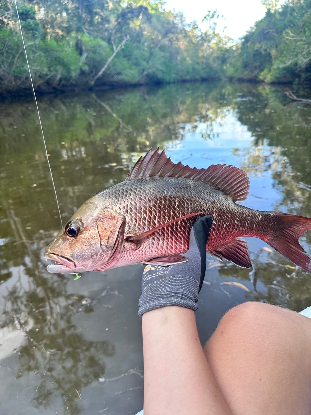 Customer photo review of GUPPIE SHAD