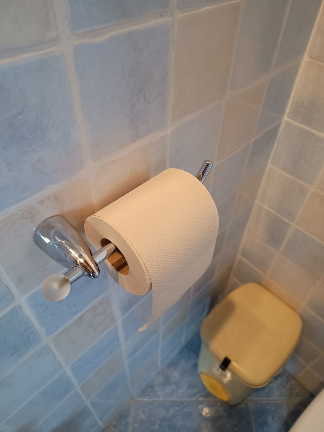 Customer photo review of CARTA IGIENICA 100% BAMBOO NATURALE