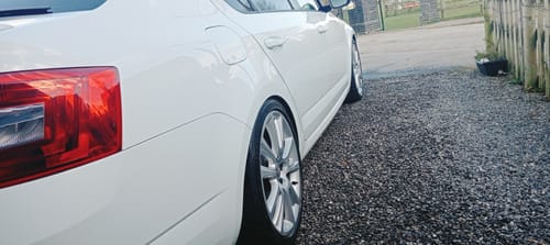 Customer photo review of Liquid - Ceramic Shampoo