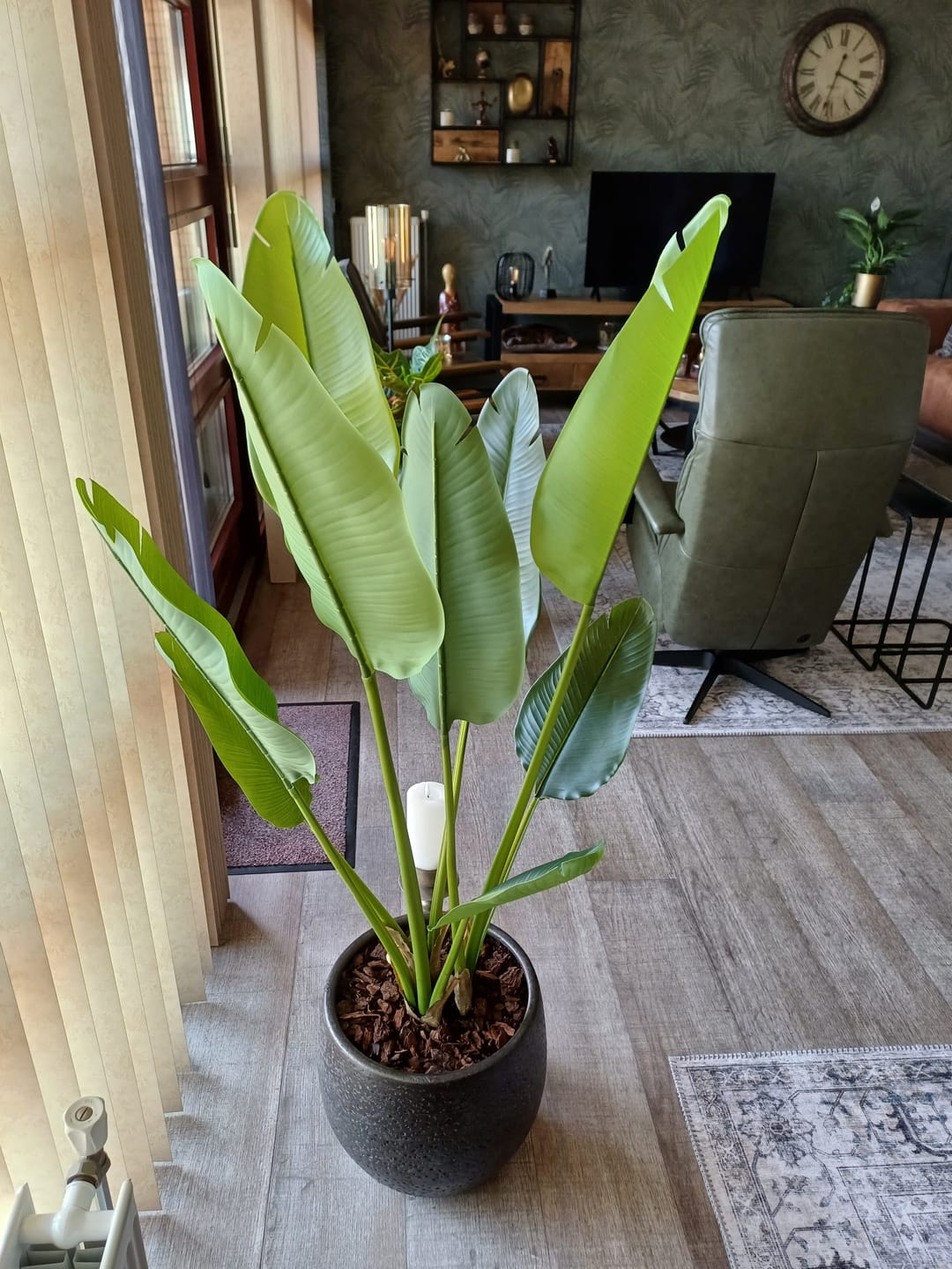 Customer photo review of Strelitzia Kunstplant 120cm