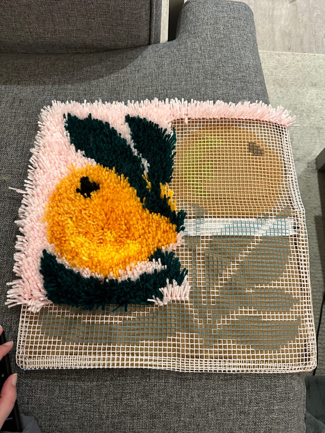 Customer photo review of A Bounty of Oranges Latch Hook Cushion Kit