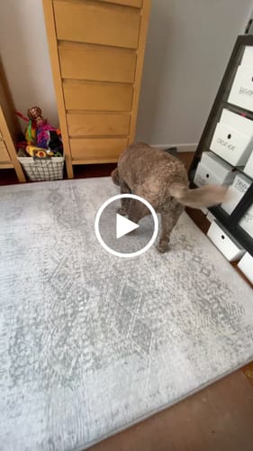 Customer video review of The Mellow Mat v2® Designer Print | Silver Mist (Soft Touch Sensory Tatami Rug) PR01