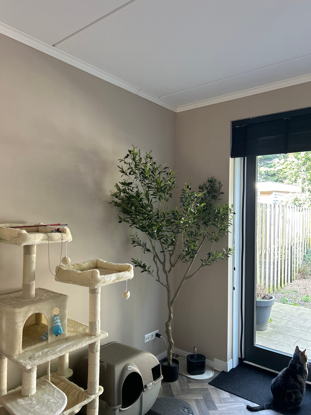 Customer photo review of Pre-Order Kunst Olijfboom 210cm (Maart '25)