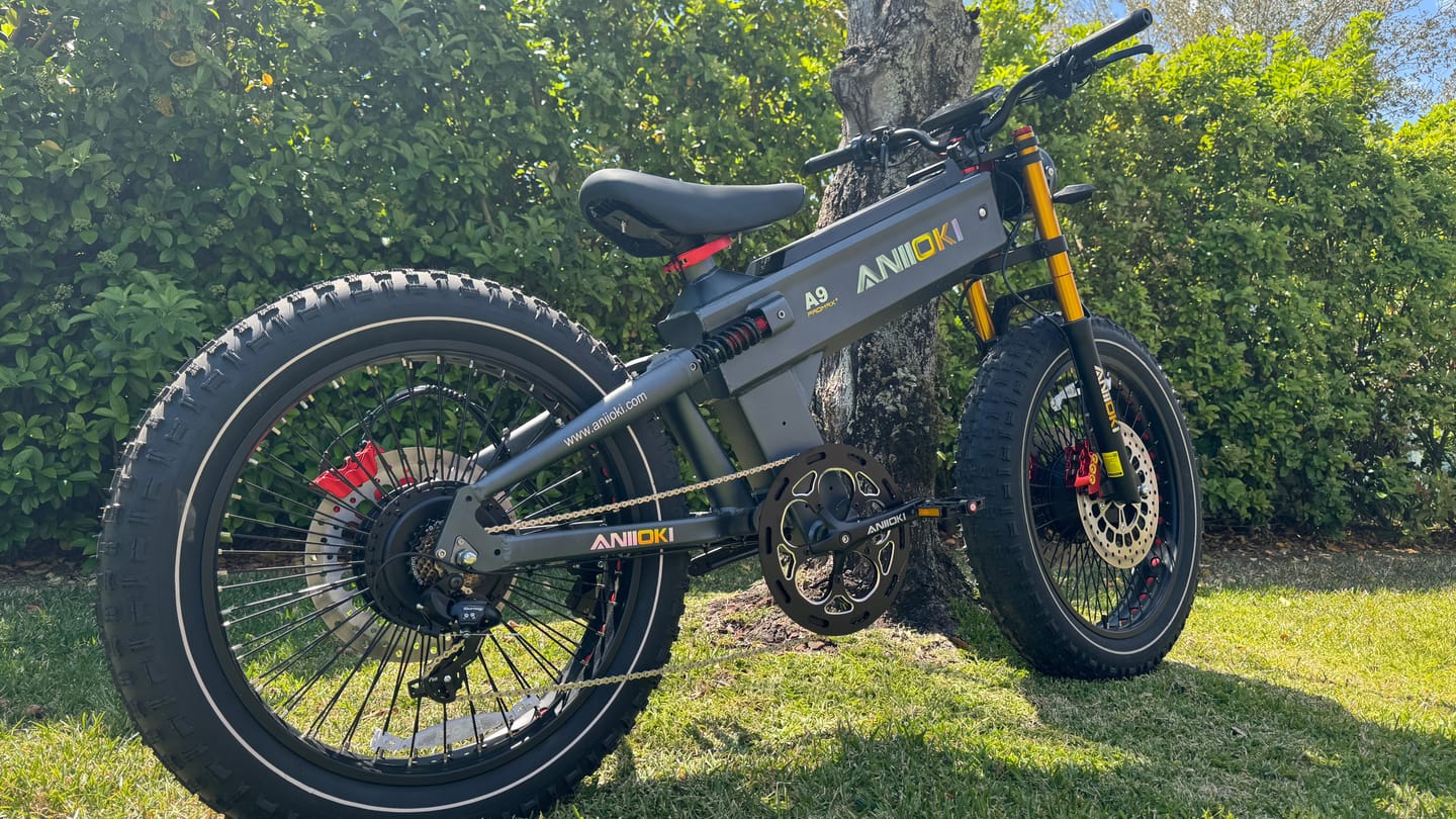 Customer photo review of 2025 Version A9 Pro Max 60V Dual Motor Ebike