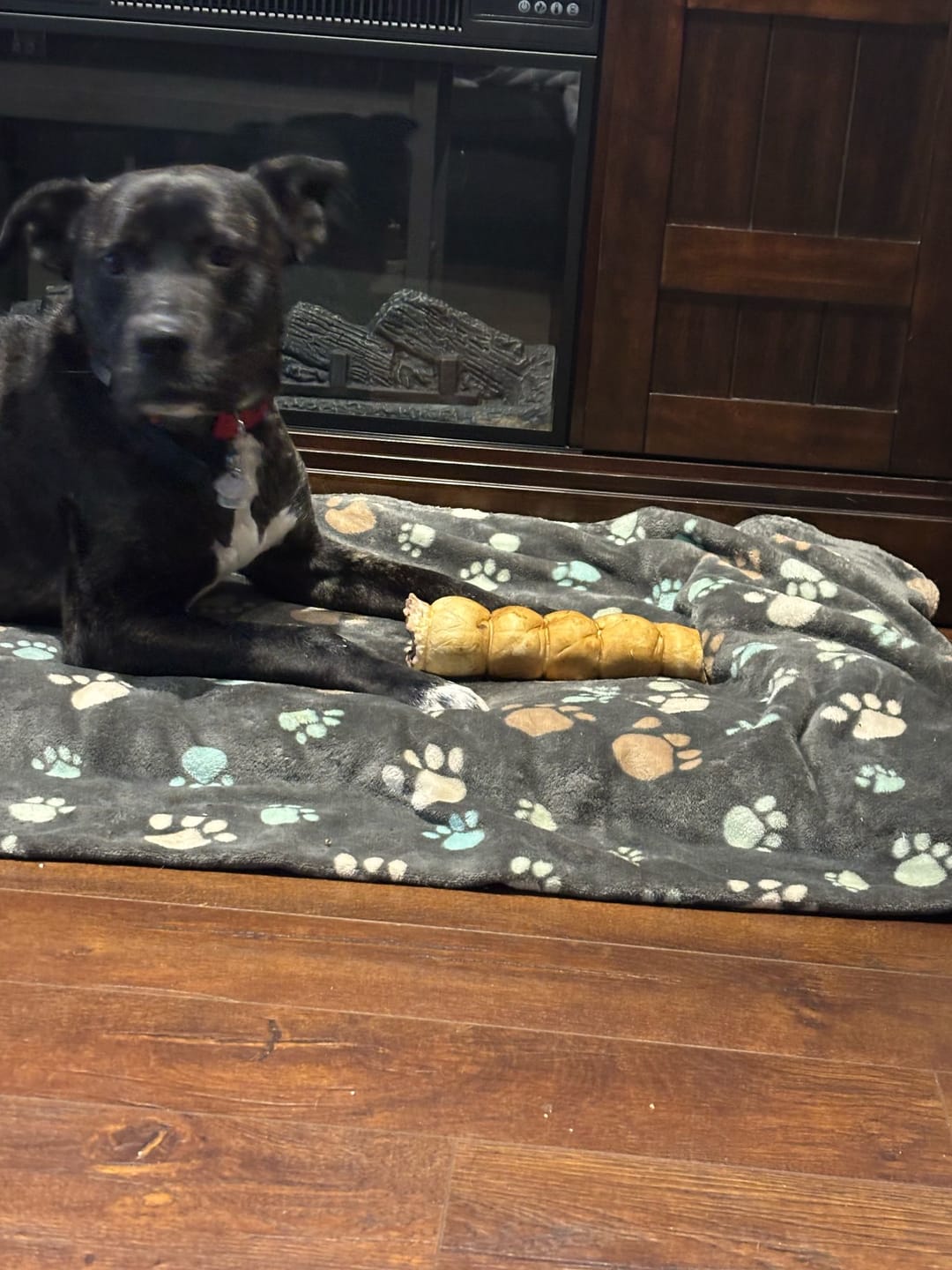 Customer photo review of 10-12 Inch Peanut Butter Cheek Roll