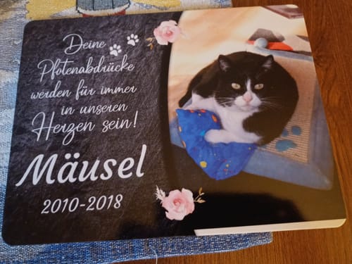 Customer photo review of Katzen Gedenktafel mit Foto & Spruch (UV- & Wetterfest)