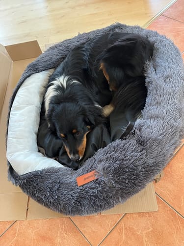 Customer photo review of Hundebett Belune® - Das Original