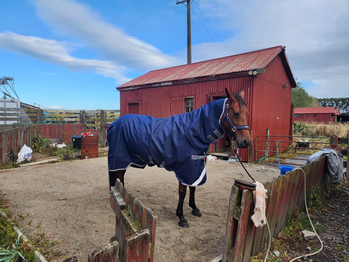 Customer photo review of Amigo 1200D Integrated Turnout 50g