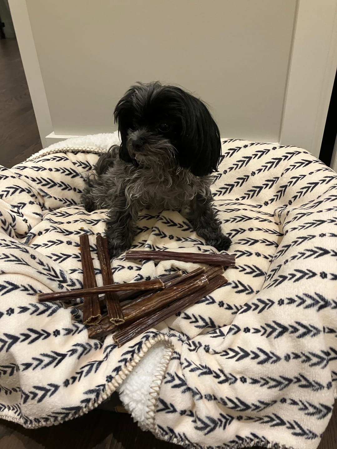 Customer photo review of Vrac Nature's Own - Batonnets oesophage de boeuf pour chien