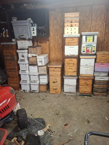 Customer photo review of MayBee Hives Beekeeping Accessories Kit Hive Beeswax Coated 8 Frame Langstroth Beehive Include 1 Bee Deep Body And 1 Bee Super Hive Body (No Frame No Foundation, Metal Queen Excluder,Solid Bottom Board)
