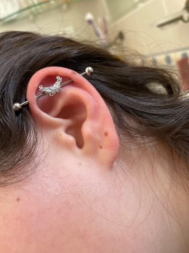 Customer photo review of Dreamy Butterfly Industrial Barbell