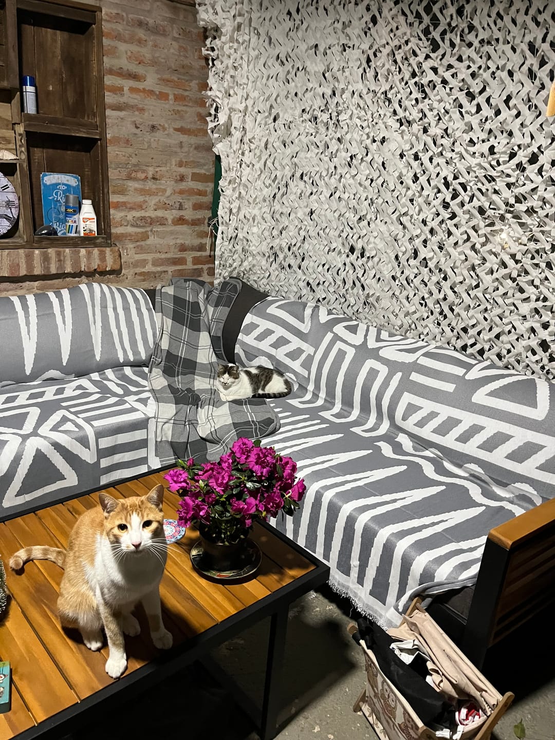 Customer photo review of Manta Cubre Sofa de Chenilla Reversible