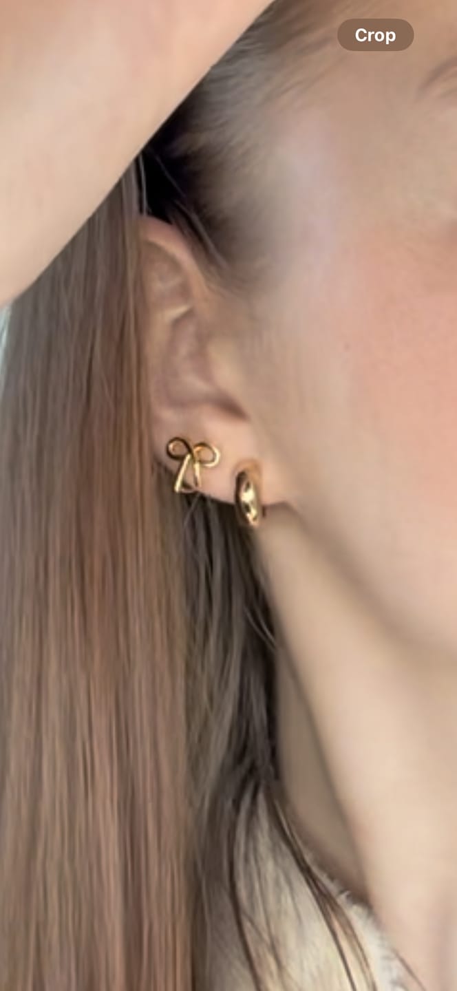 Customer photo review of Alice Clip On Earrings in Gold