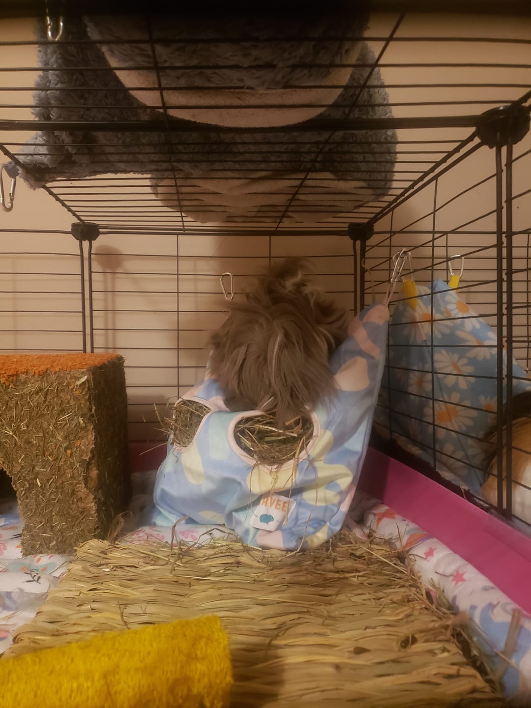 Customer photo review of Hay Bag | Pigcasso