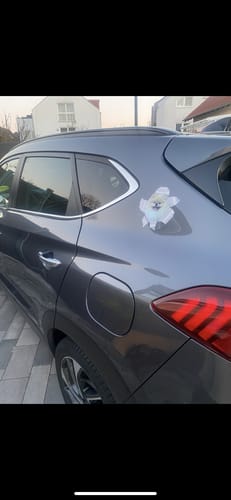 Claudia T. review of Spähendes Foto - Individueller Autoaufkleber image 1 out of 1