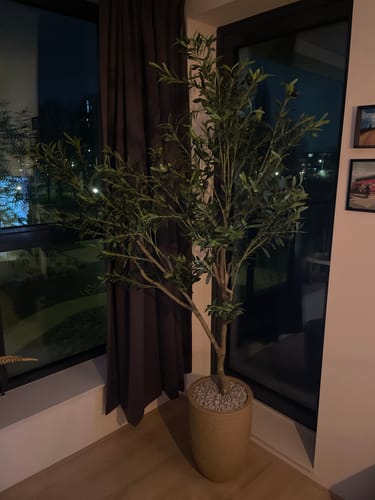 Customer photo review of Pre-Order Kunst Olijfboom 210cm (feb '25)