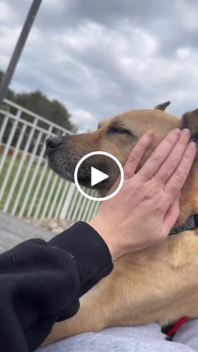 Customer video review of (20-Pack) SuperCharged Honey - 100mg