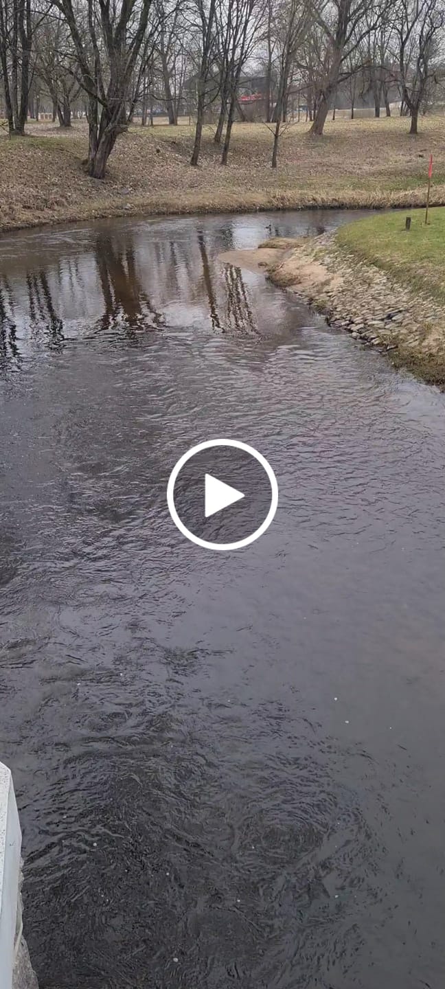 Customer video review of Gydanti trijulė: trys svarbiausios vaistažolės ir jų stebuklingos gydomosios galios