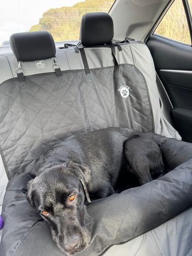 Customer photo review of Car Seat Cover