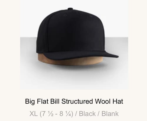 Customer photo review of Big Flat Bill Structured Wool Hat