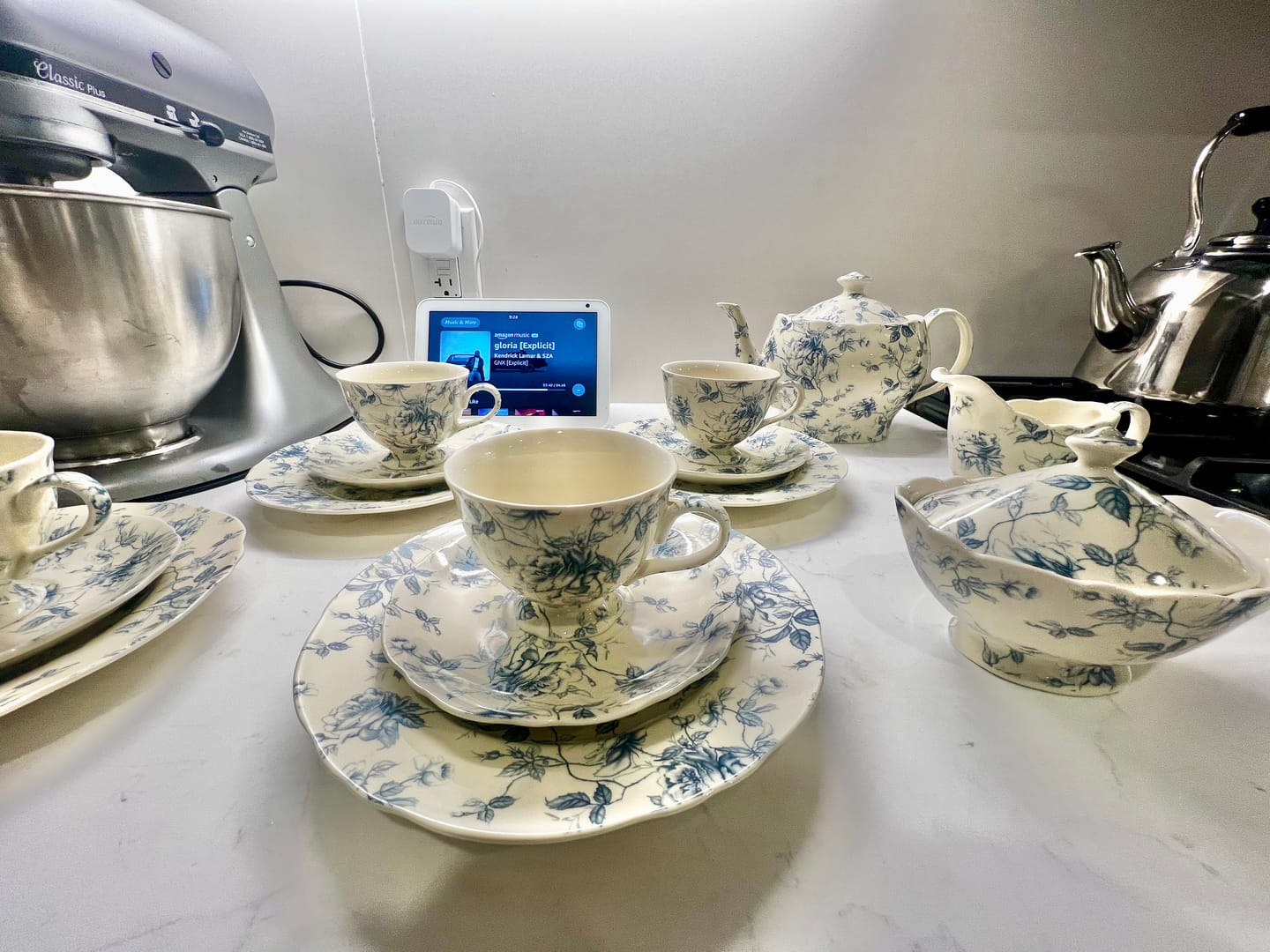 Customer photo review of Blue Rose Toile Fine Porcelain Tea Set