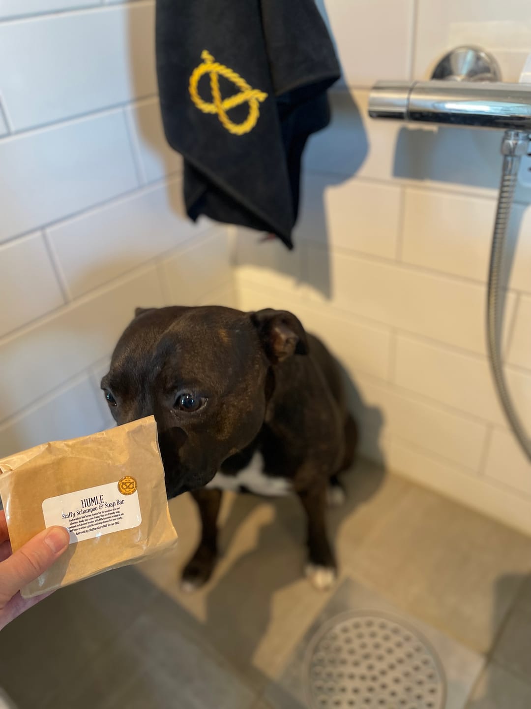 Customer photo review of Staffordshire Bull Terrier 1935® Shampoo & Soap Bar