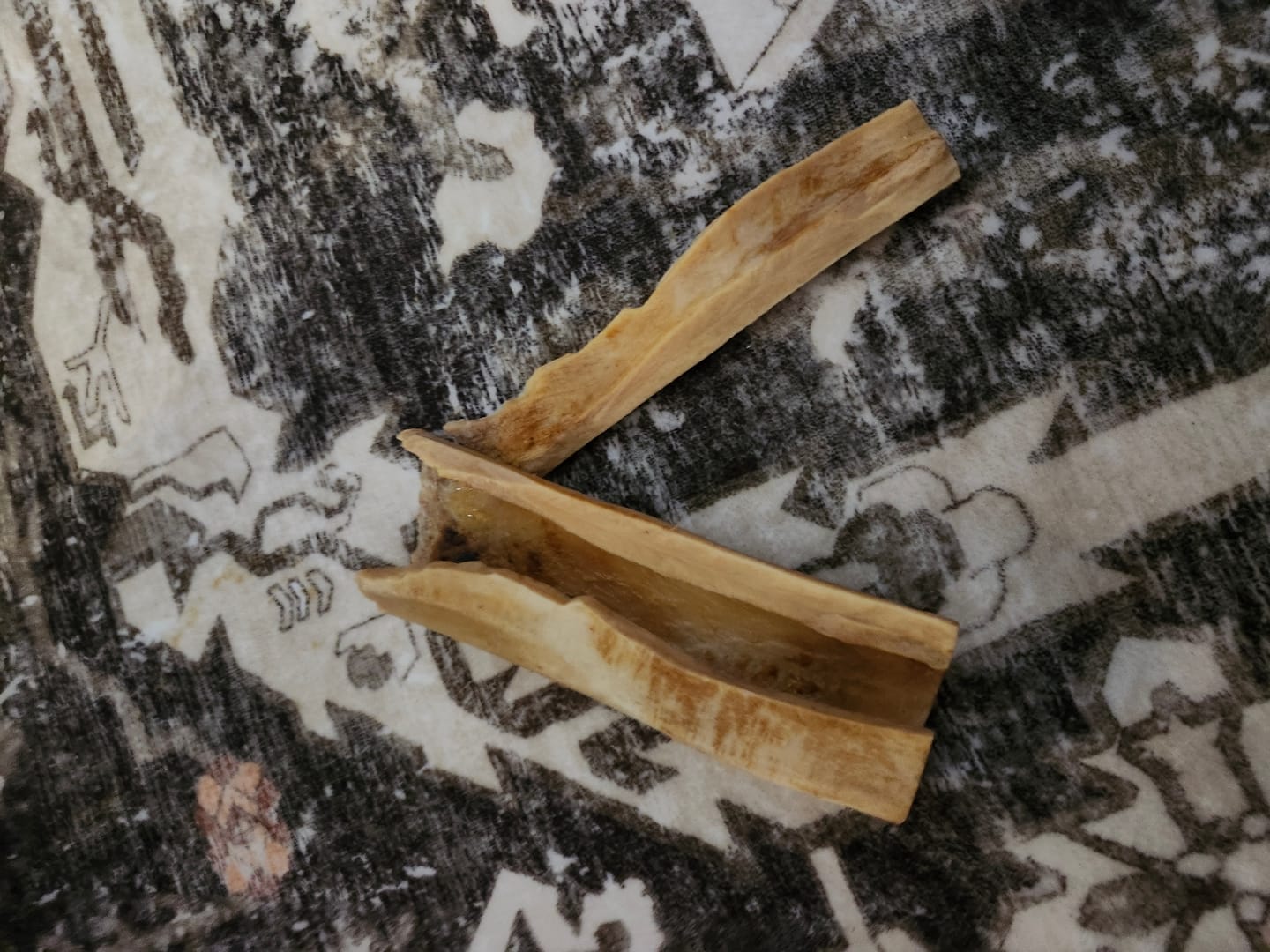 Customer photo review of 5-6 Inch Marrow Bone