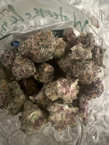 Customer photo review of Watermelon Gumdrop