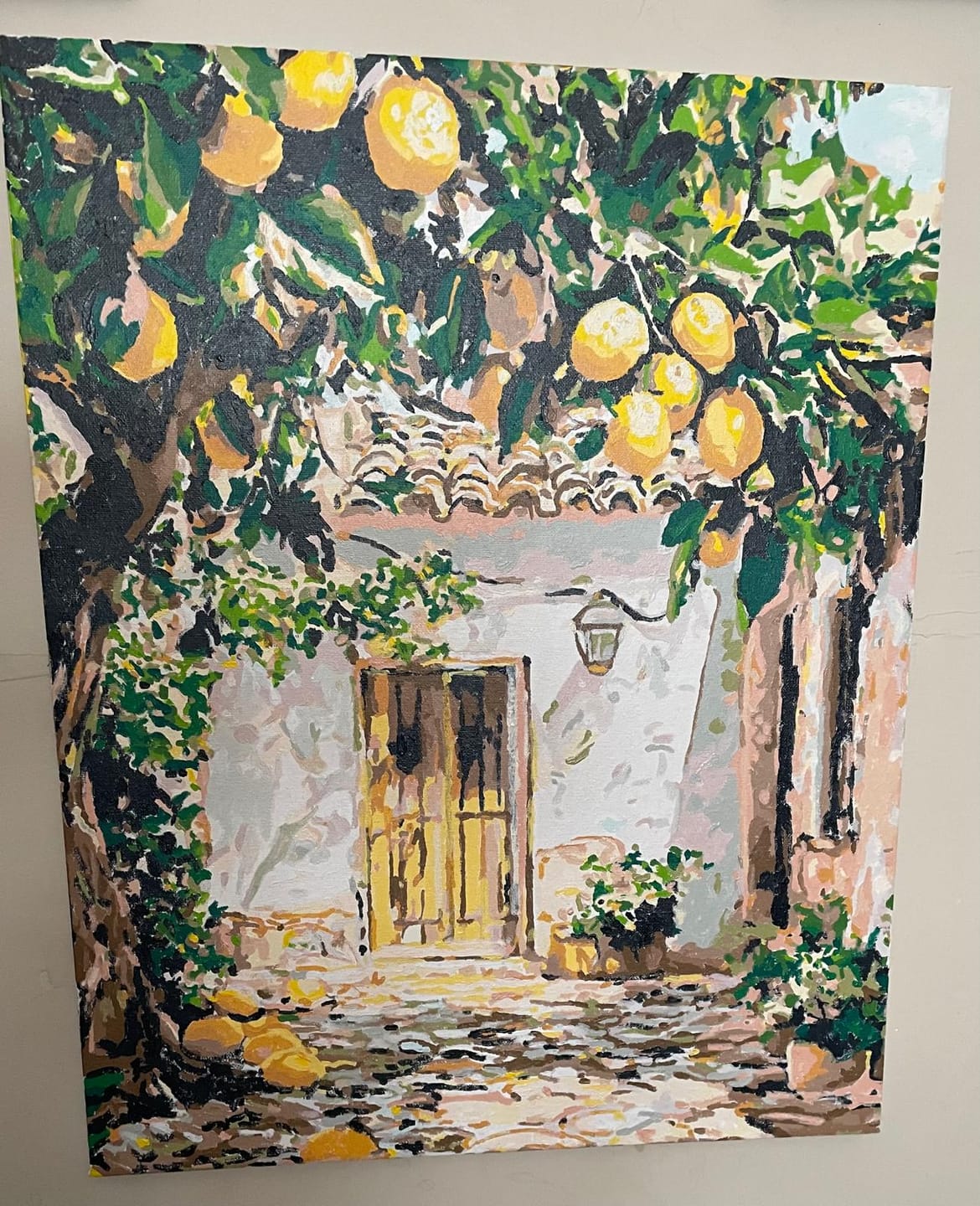 Customer photo review of Lemon Yard