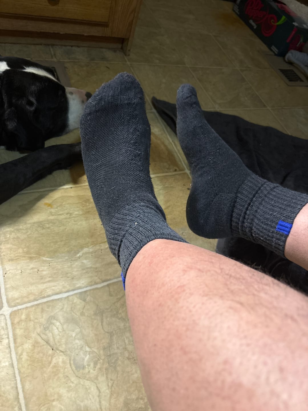 Customer photo review of Bluepacca Alpaca Socks