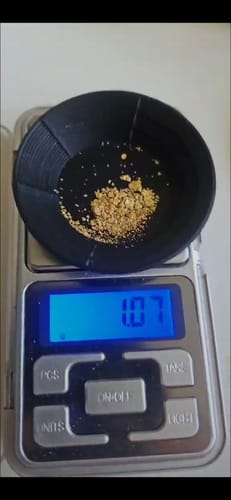 Customer photo review of Kiwi Gold Pay Dirt