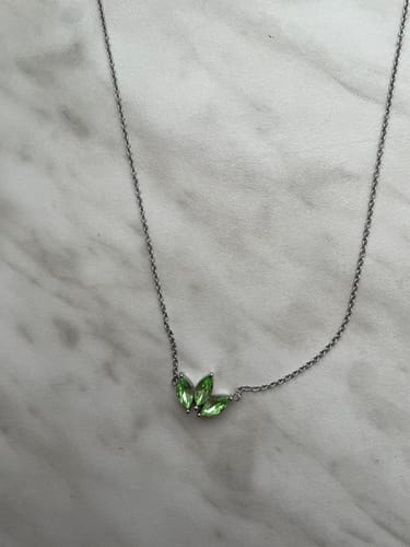 Customer photo review of Lotus Halskette | 18K vergoldet