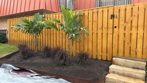 Customer photo review of Purple/Red Fountain Grass