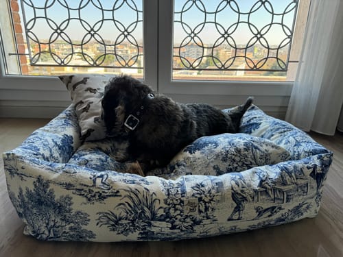 Customer photo review of Divanetto Panama Premium Toile de Jouy Blu Polvere Romantico