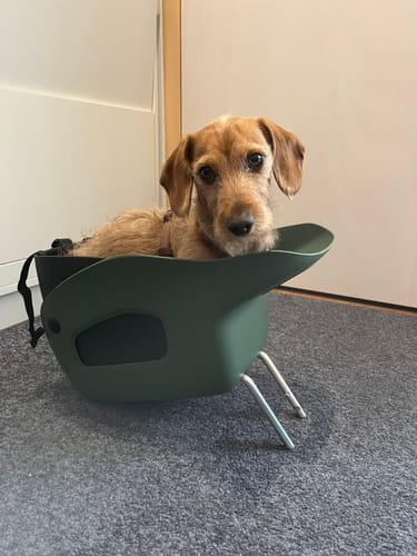 Customer photo review of Kvisp Dog Bike Carrier