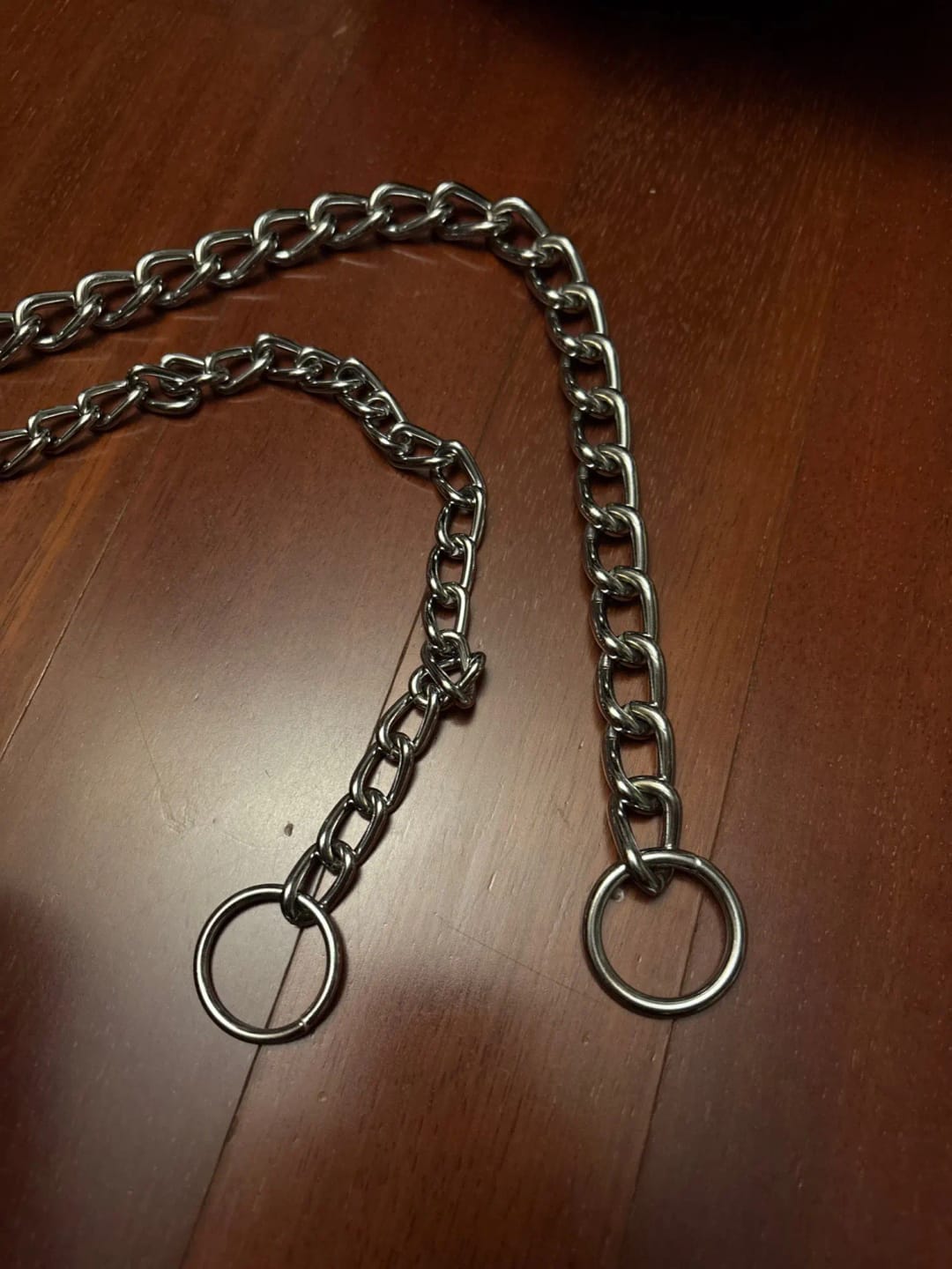 Customer photo review of Stainless Steel Adjustable  Slip Chain Collar For Dog
