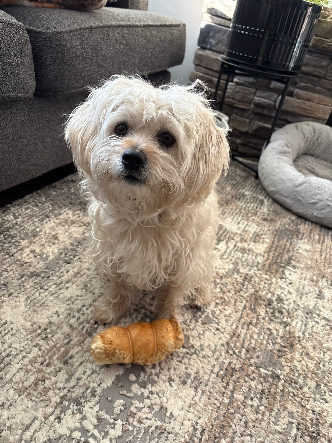 Customer photo review of 10-12 Inch Peanut Butter Cheek Roll