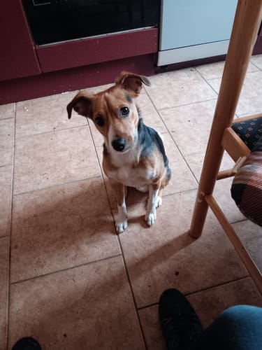 Customer photo review of Relax Time