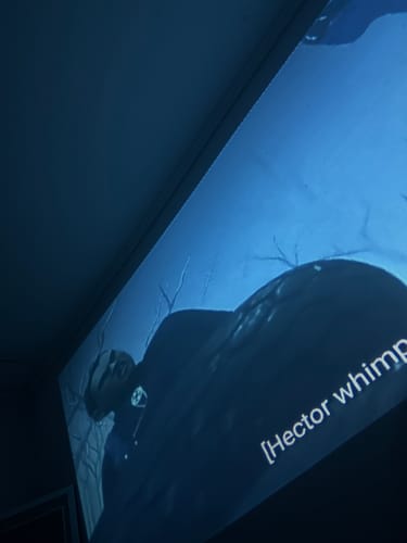 Customer photo review of MovieHub™ Ultra HD Gaming Bundle