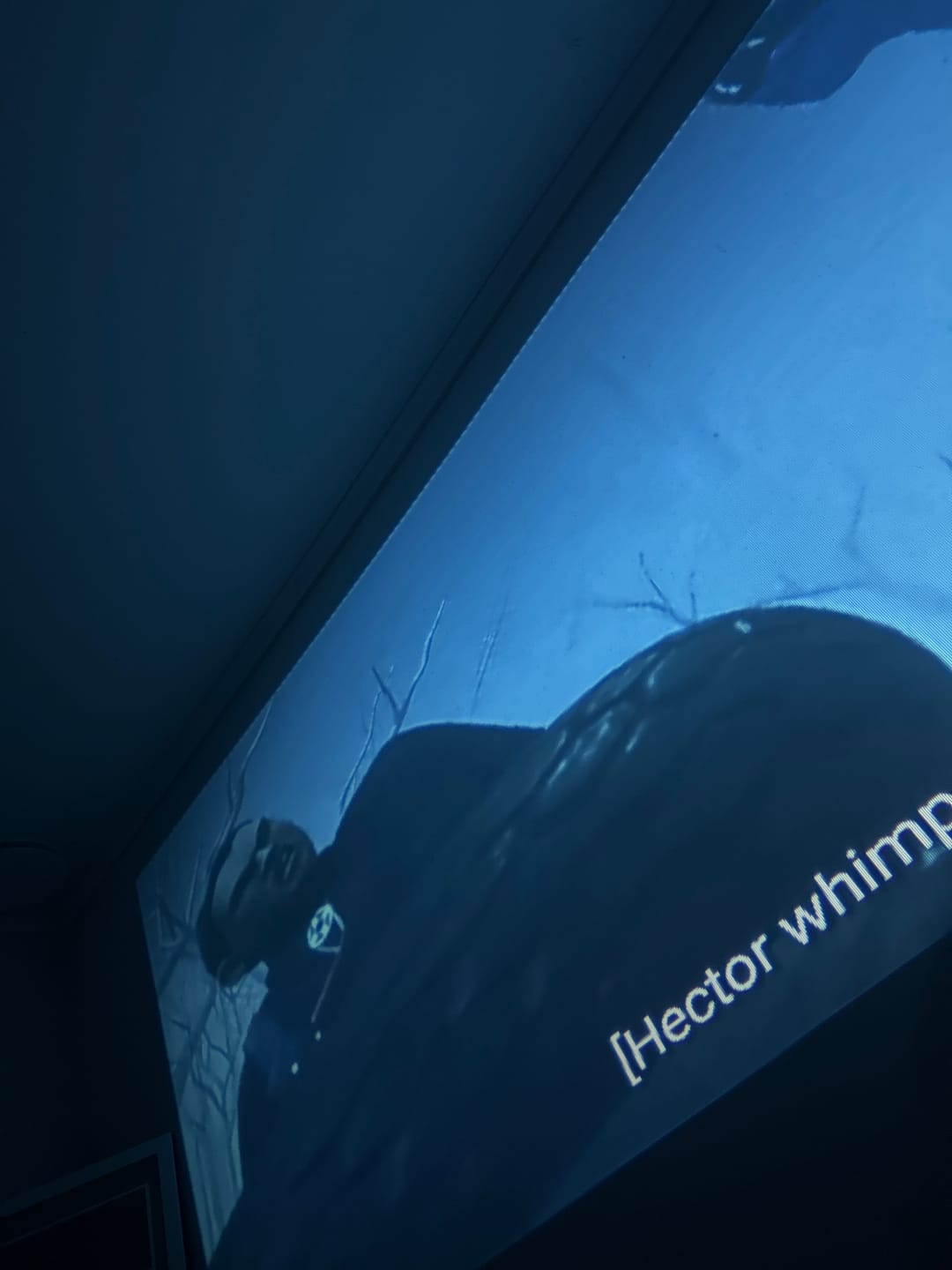 Customer photo review of MovieHub™ Ultra HD Gaming Bundle