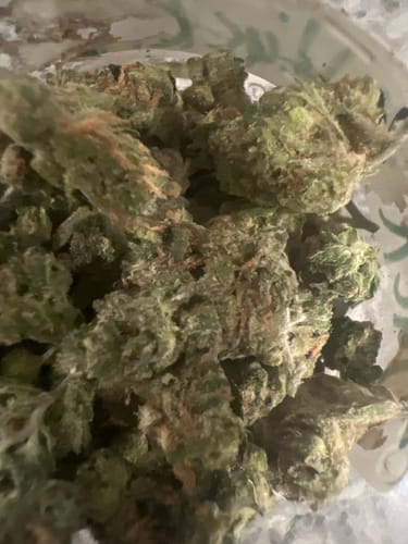 Customer photo review of Jack Attack