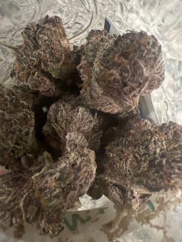 Customer photo review of Lost My Mind