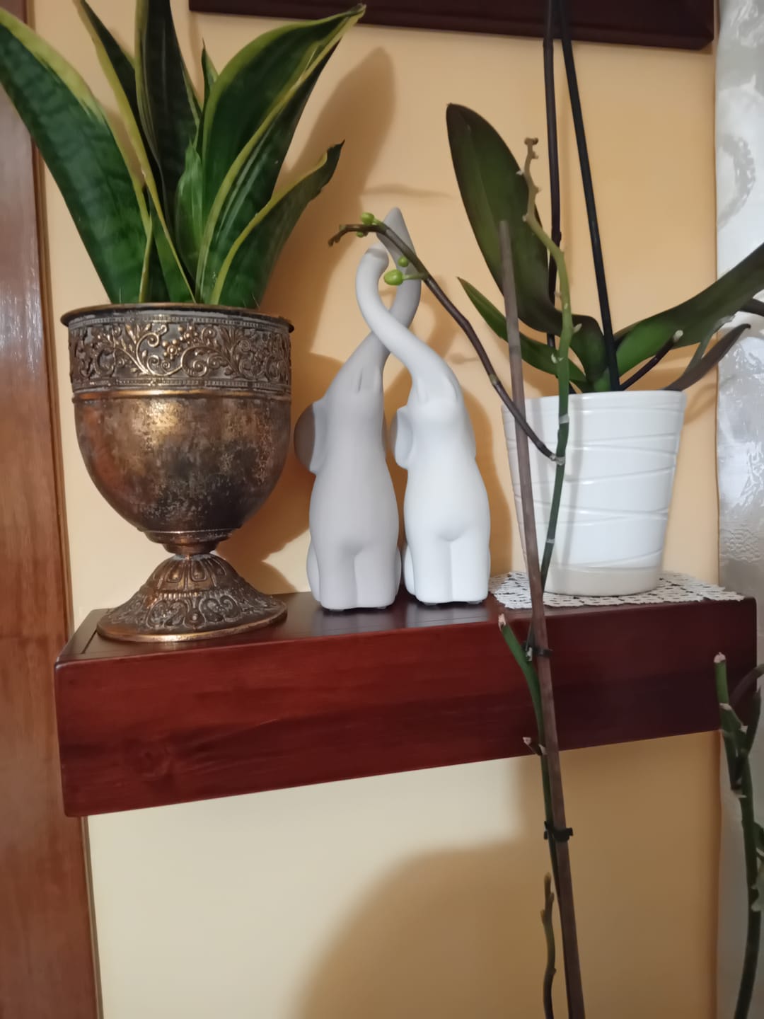 Customer photo review of Mensola sospesa - VENERE - Profondità 15-20-25 cm. Noce Scuro