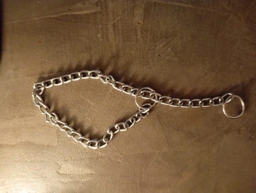 Customer photo review of Stainless Steel Adjustable  Slip Chain Collar For Dog