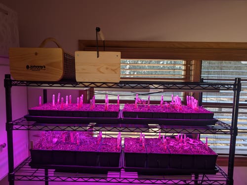 Customer photo review of Epic 6-Cell Seed Starting Trays