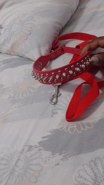 Customer photo review of Rivet Leather Spiked Adjustable Dog Collar And Leash Set