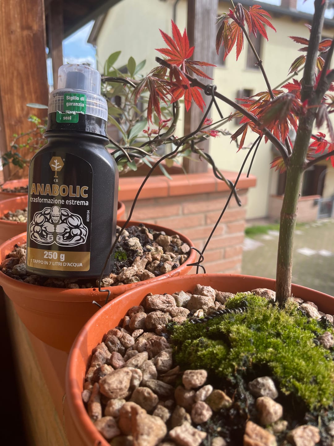 Customer photo review of ANABOLIC CB® (Trasformazione Estrema)